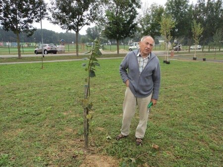Delavnica - Park in mesto
